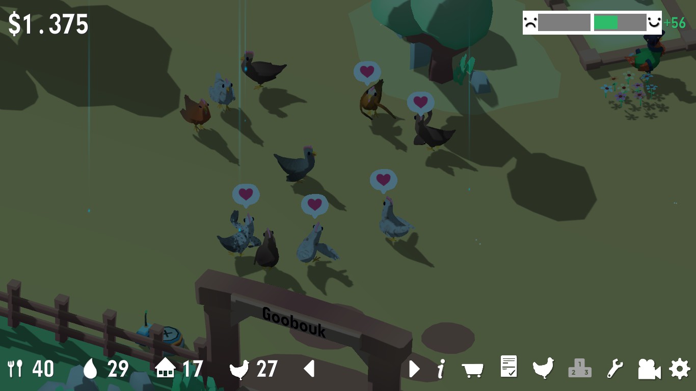 Beauty Contest Cheeky Chooks